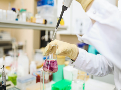 Chemicals & Minerals